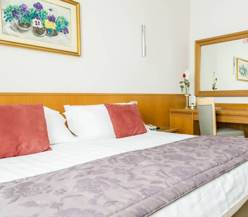 Standard Double Room Hotel Giolli Nazionale Rome26