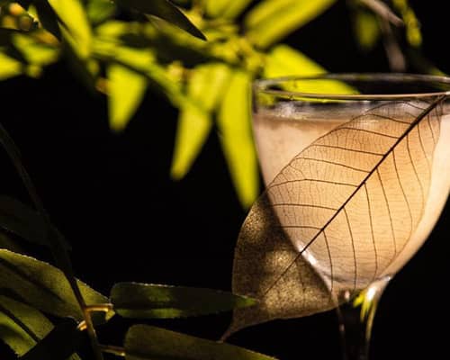 Giollinazionale Roma Cocktailbars Rooftops Club Derriere Speakeasy Locali